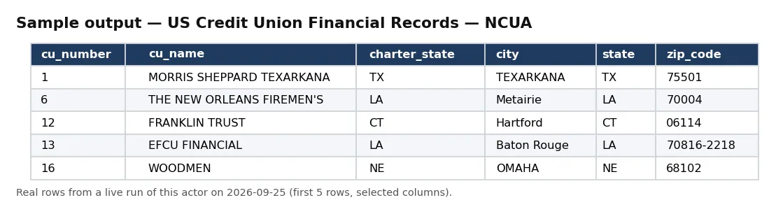 Sample output — US Credit Union Financial Records — NCUA