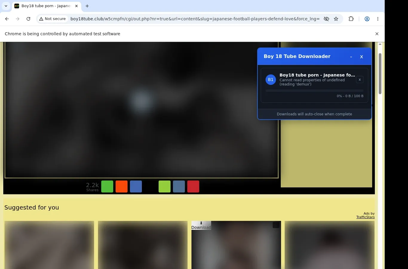 Boy18Tube Video Downloader