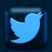 Twitter Follower/Following/Verified Scraper avatar