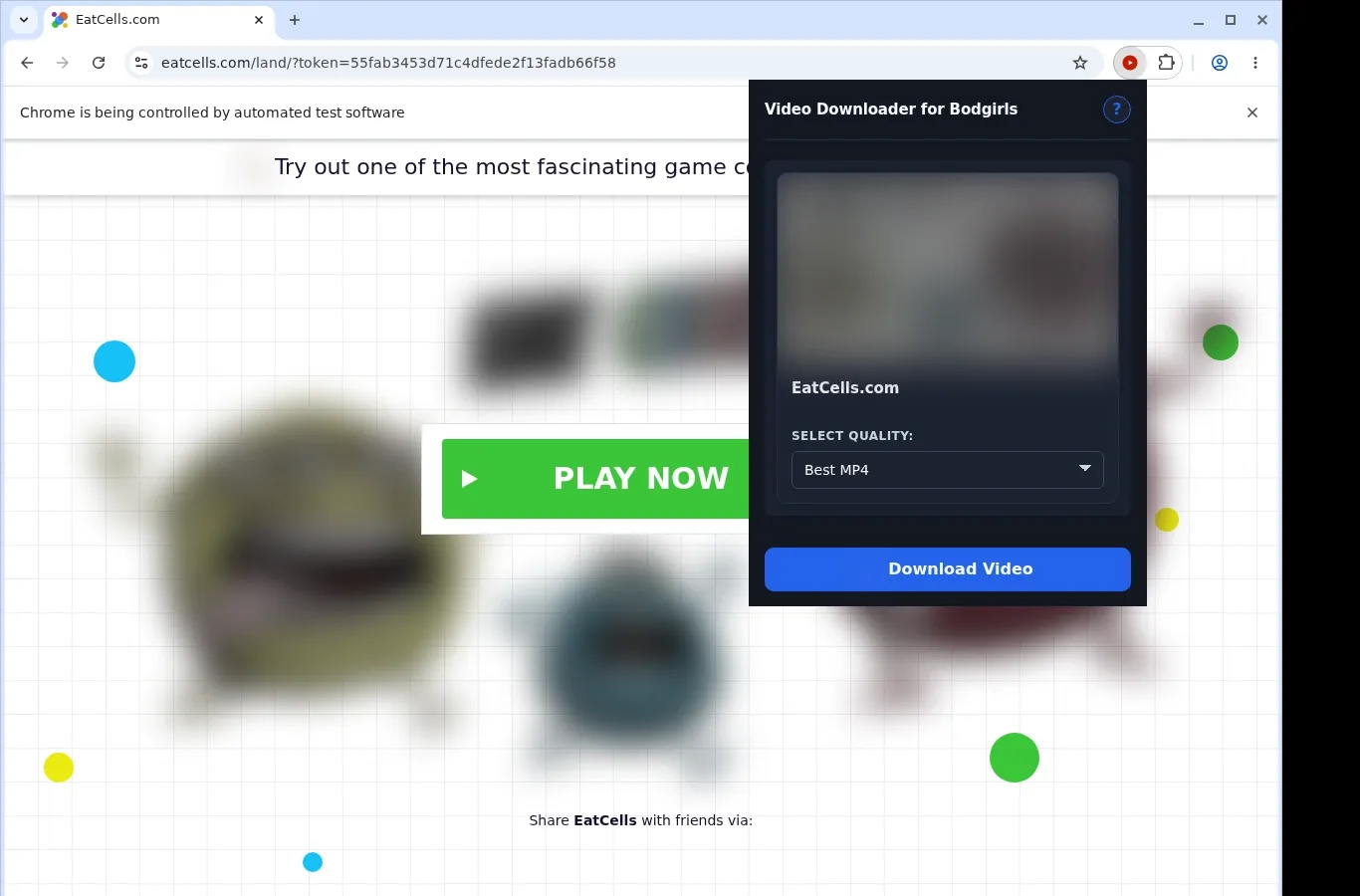 Bod Girls Video Downloader