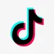 Tiktok scraper avatar