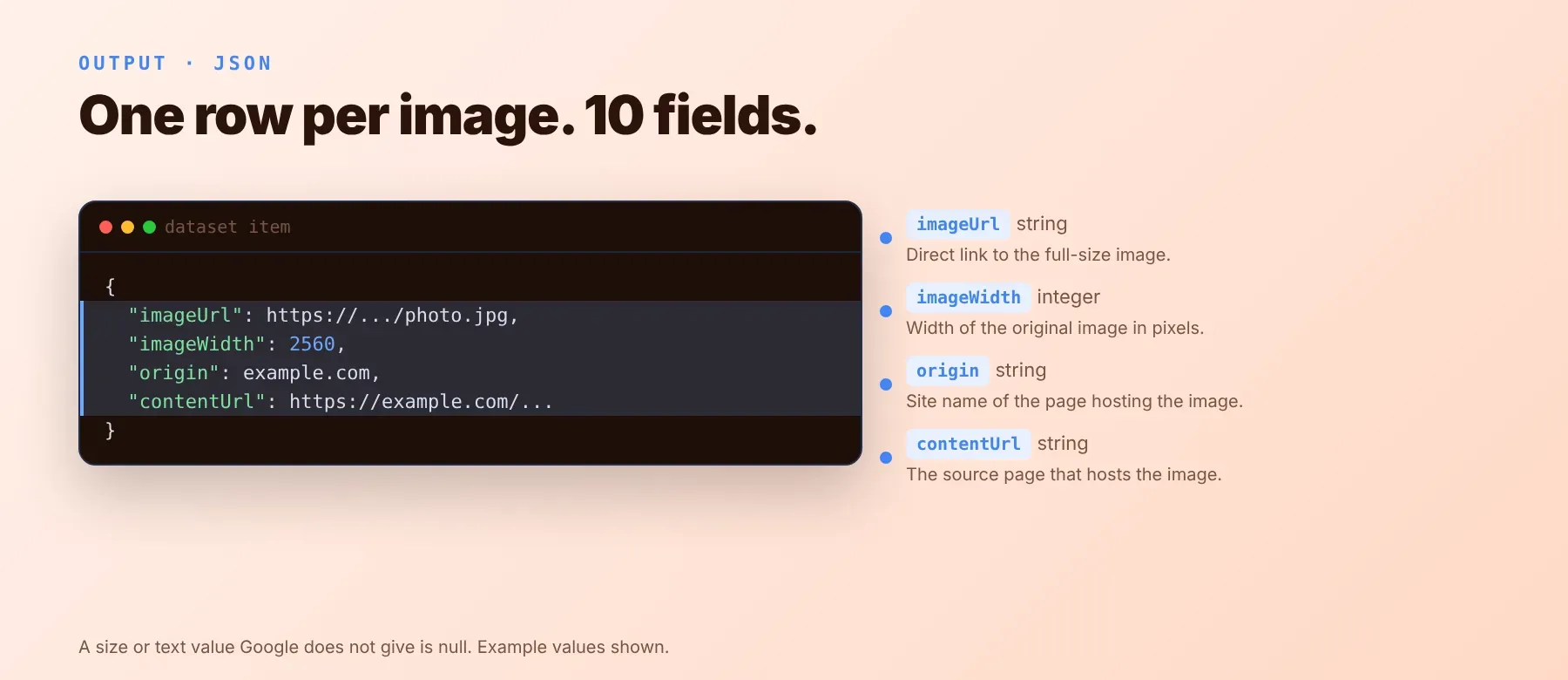 Google Images Scraper output: one row per image with 10 fields