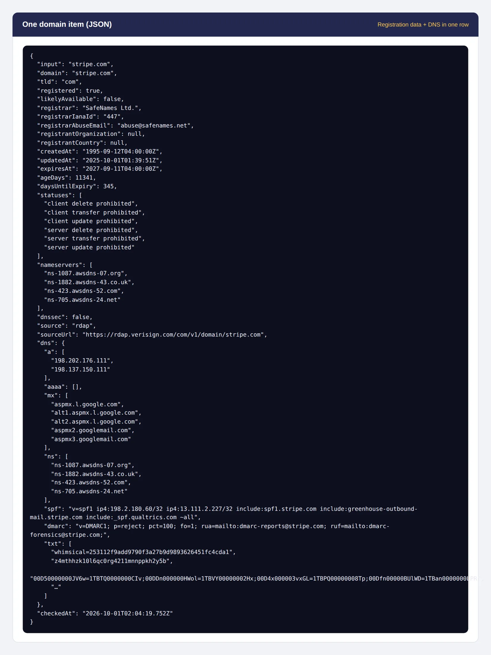 One real domain item for stripe.com with registration data and DNS records