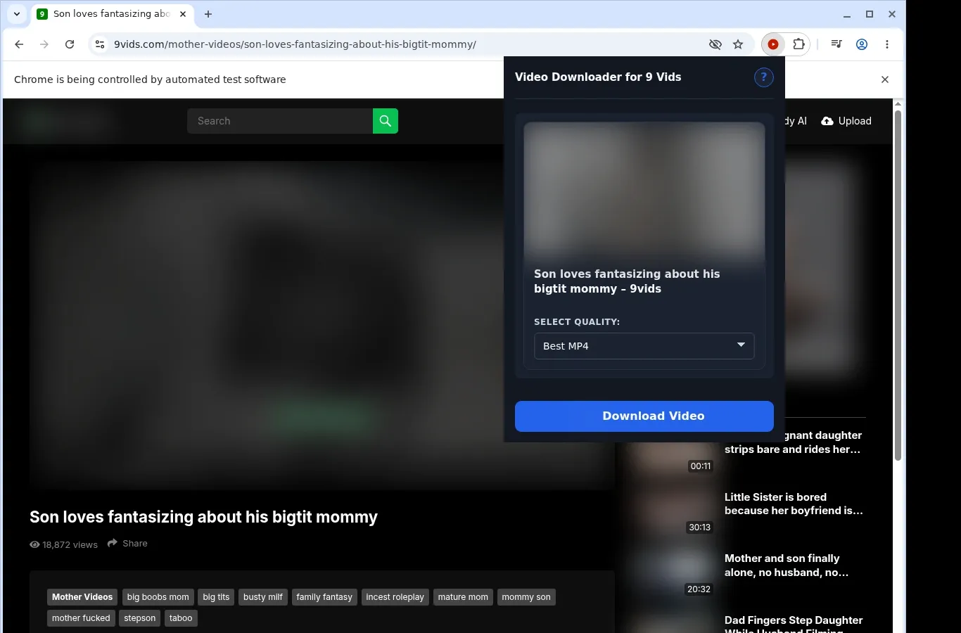 9 Vids Video Downloader