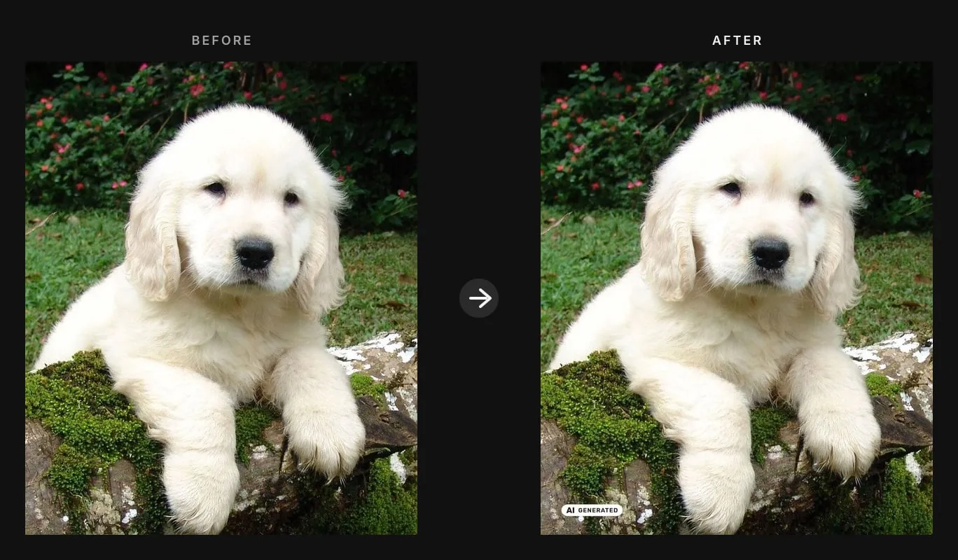 Before and after: an unlabeled photo, then the same file with an official AI GENERATED label stamped in