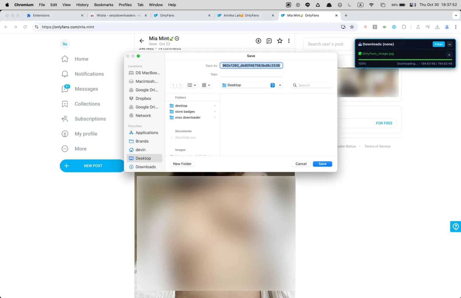 onlyfans-downloader-4