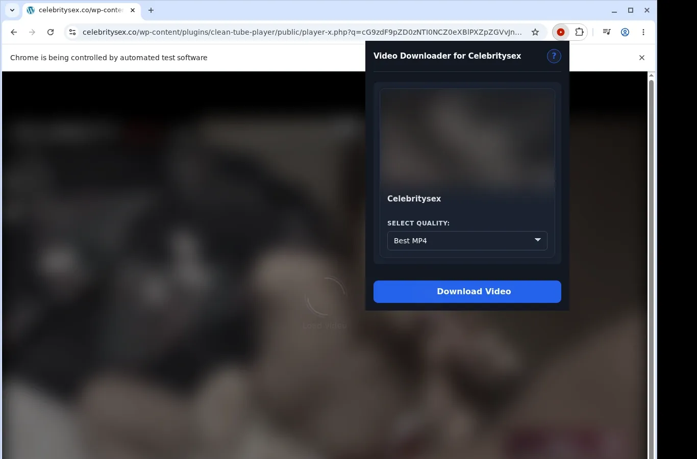 Celebritysex Video Downloader