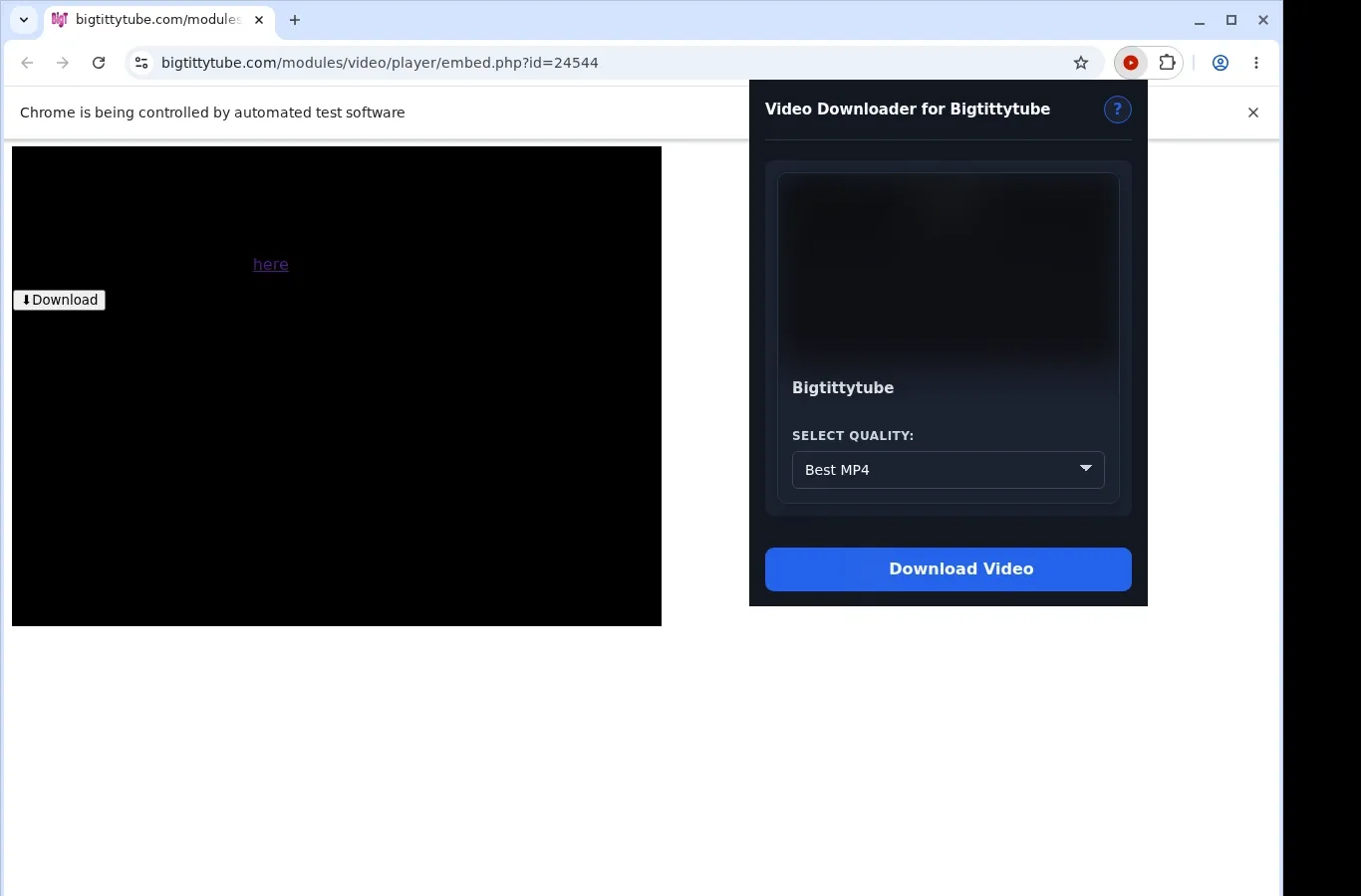 BigTittyTube Downloader