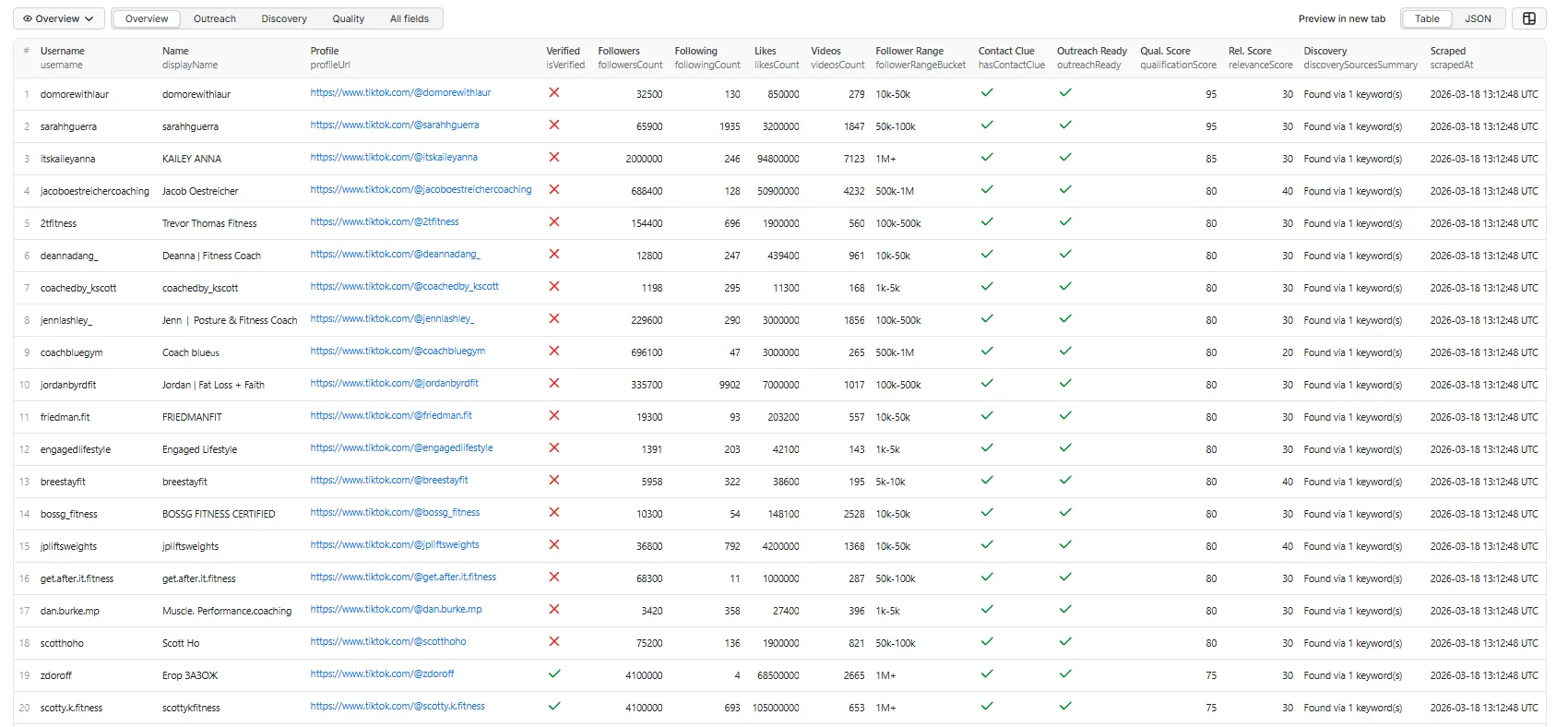 TikTok Influencer Finder — Overview table view