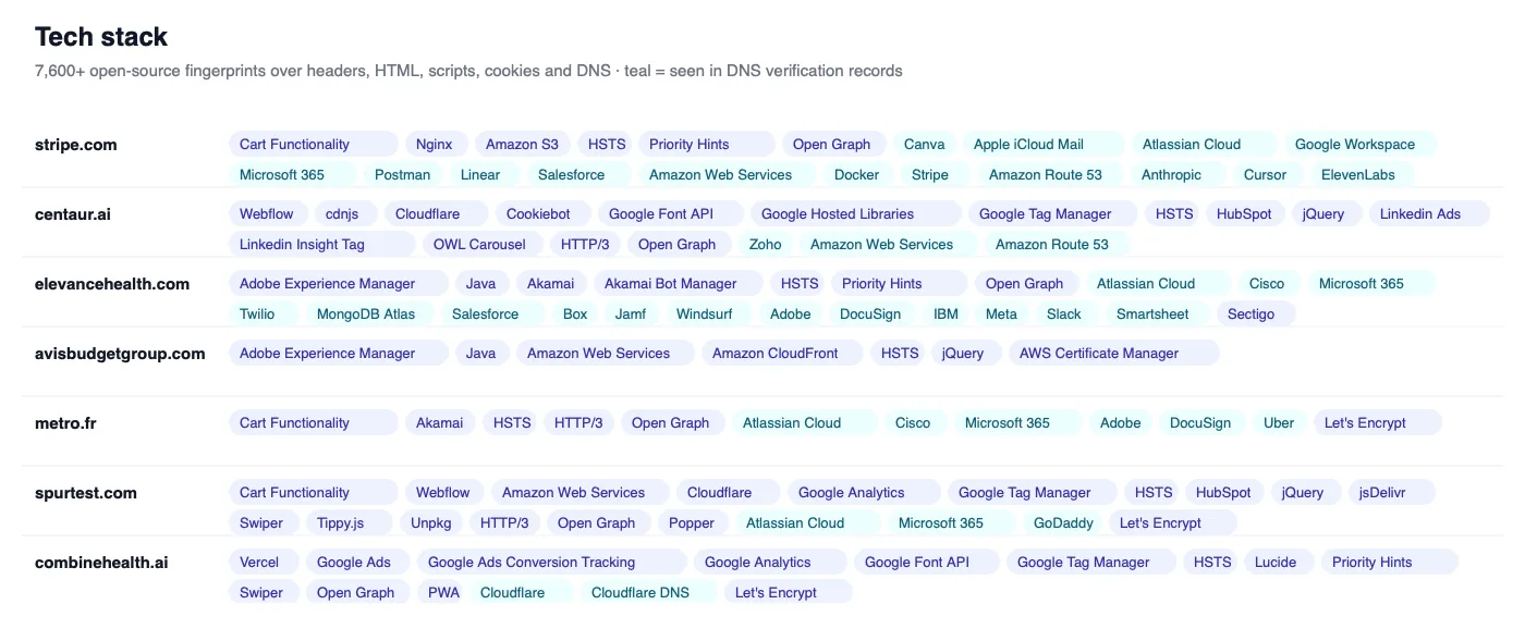 Tech stack per domain, including SaaS tools found in DNS verification records