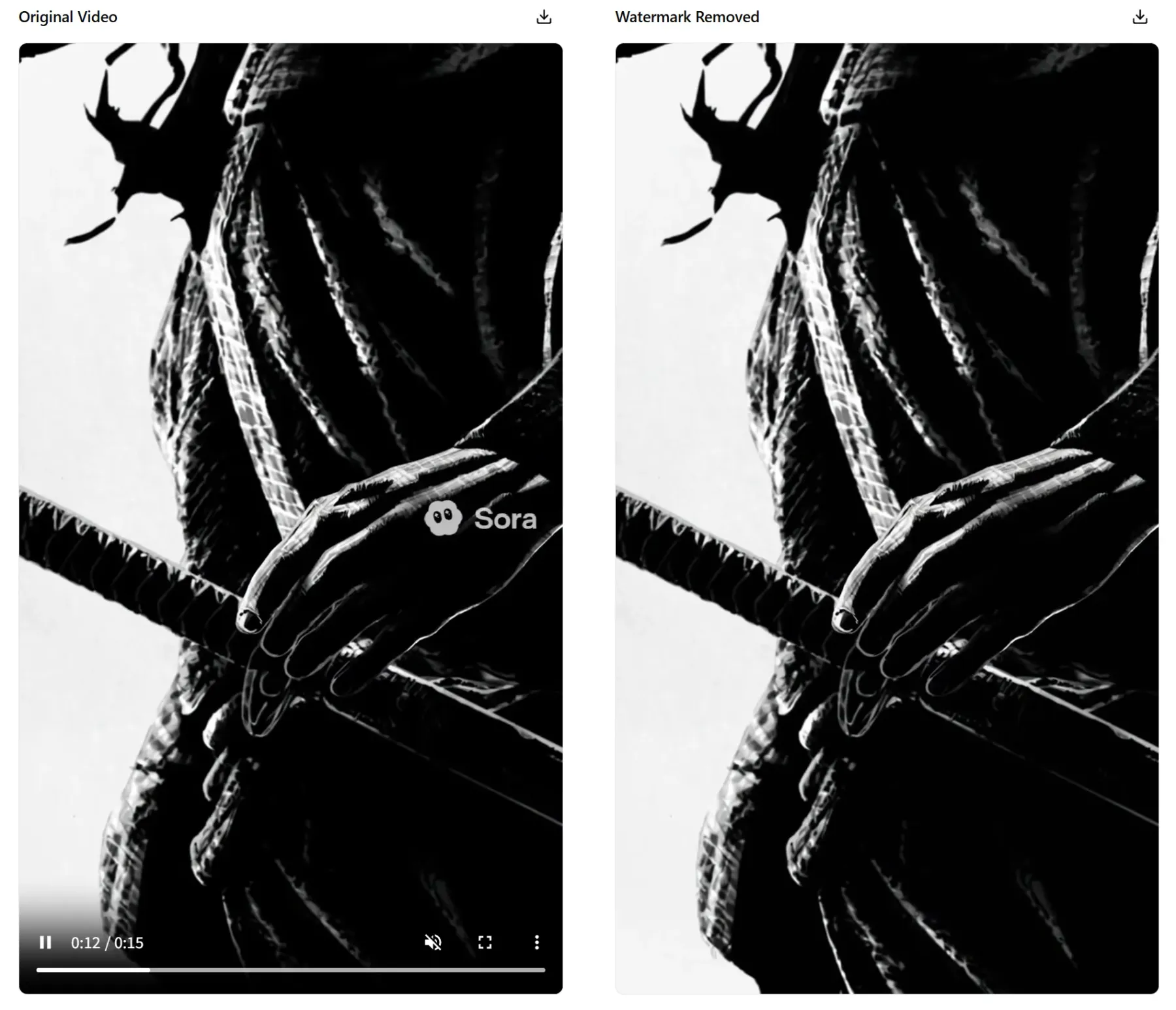 Download the watermark-free result