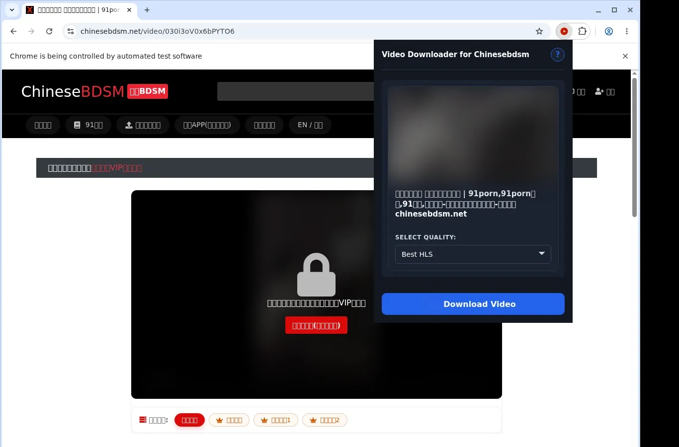 ChineseBDSM Video Downloader