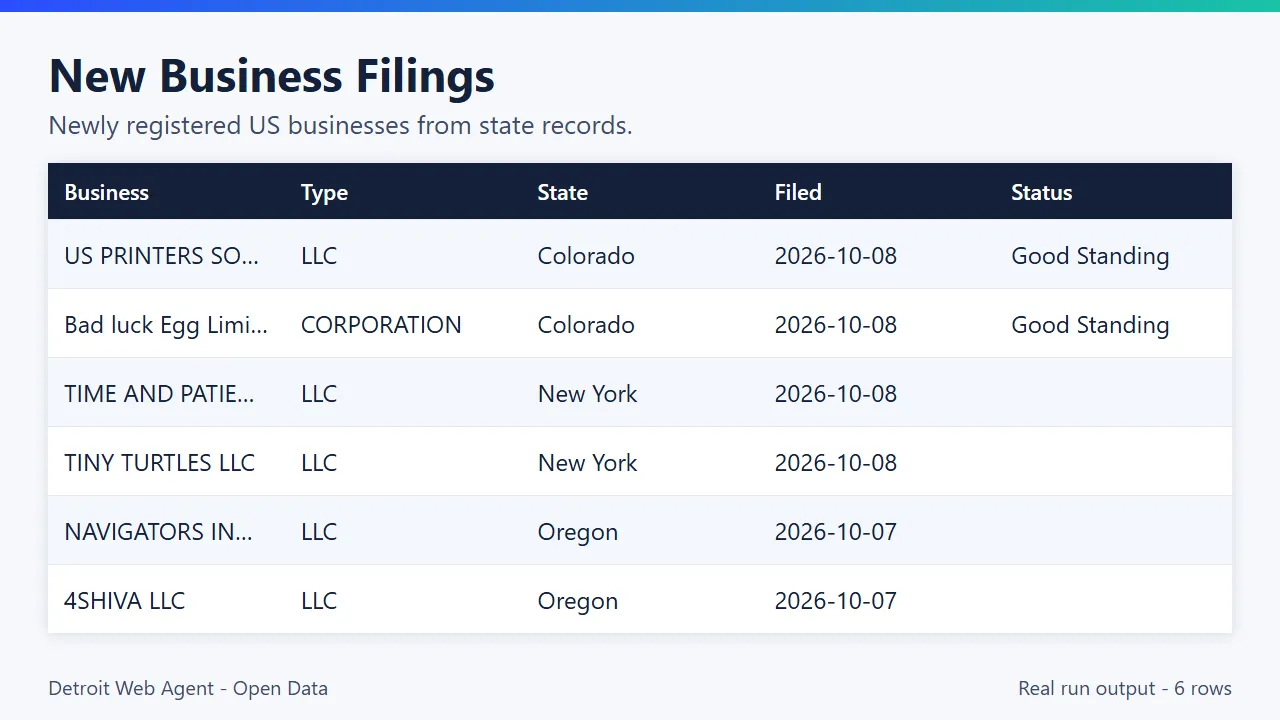 New Business Filings output preview: real run results as a table