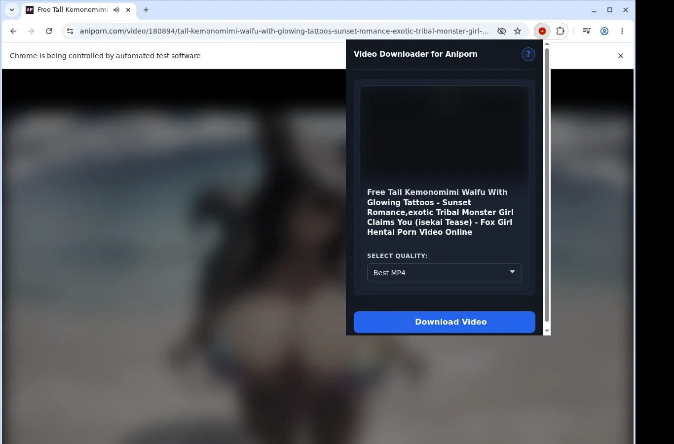 Aniporn Video Downloader