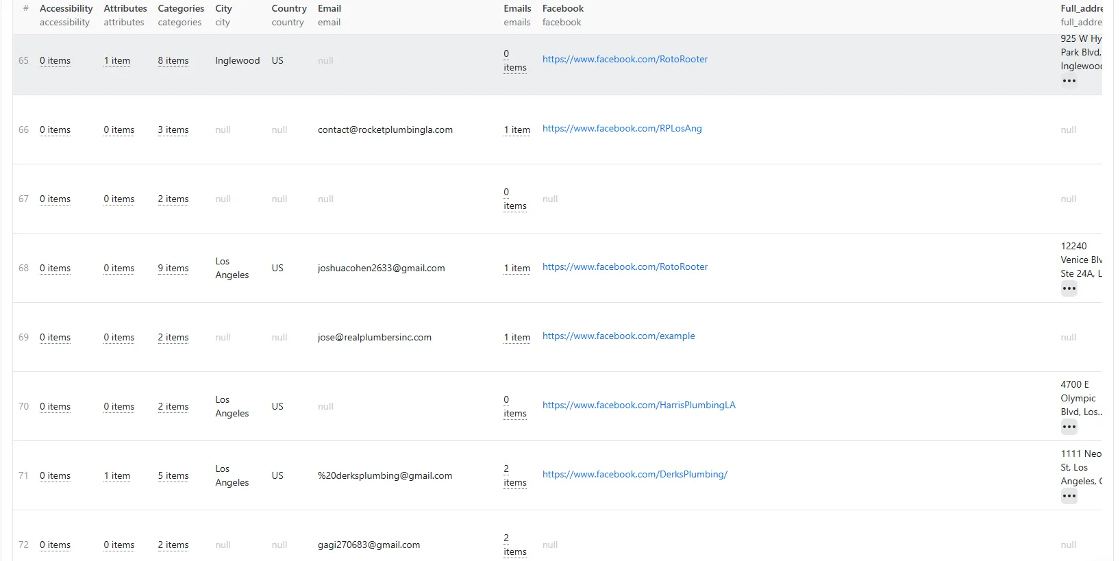Results table view — business email, phone, social profiles and Google Maps data side by side in one structured dataset