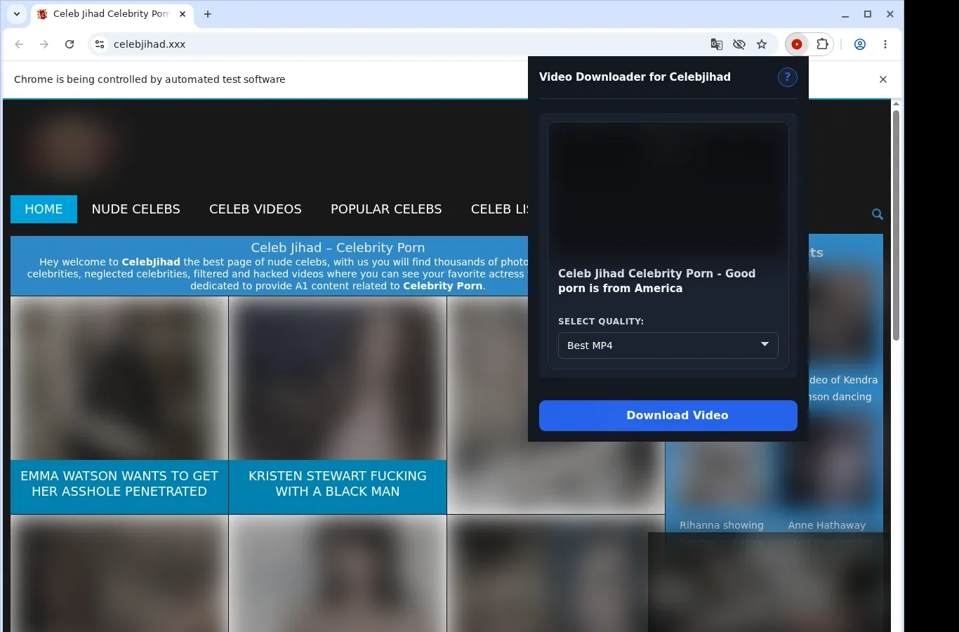 Celebjihad Downloader