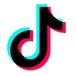 TikTok Profiles - Discover by Search URL avatar