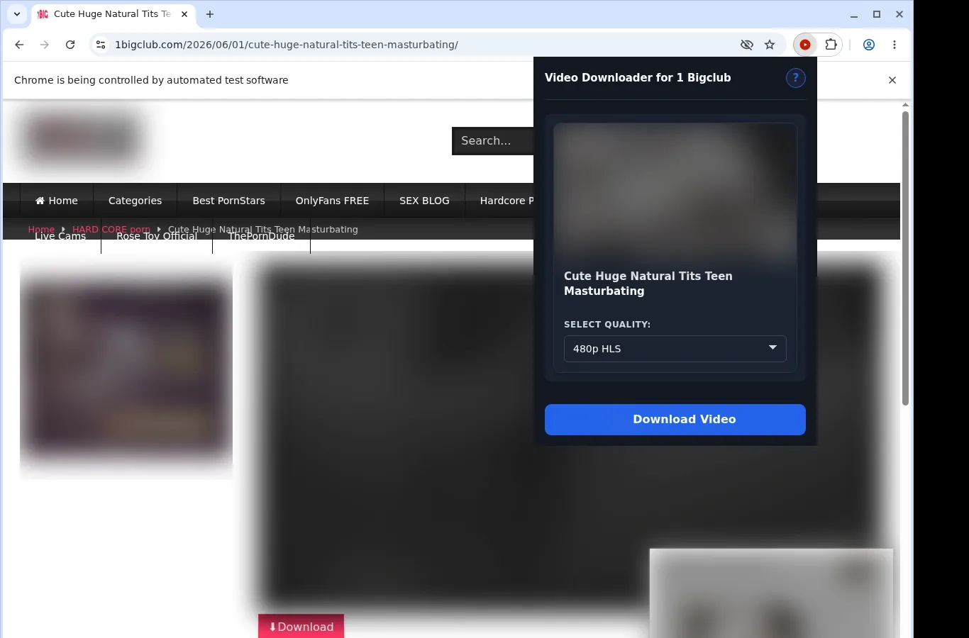 1BigClub Downloader