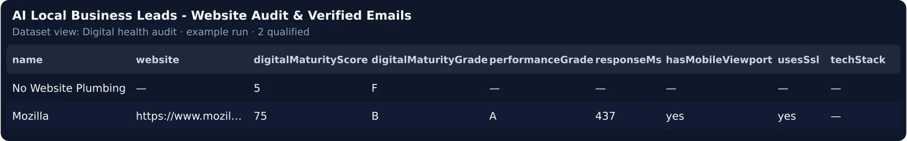 Digital health audit view from a real run: maturity score and grade, speed, mobile, HTTPS, tech stack and tracking tools per business