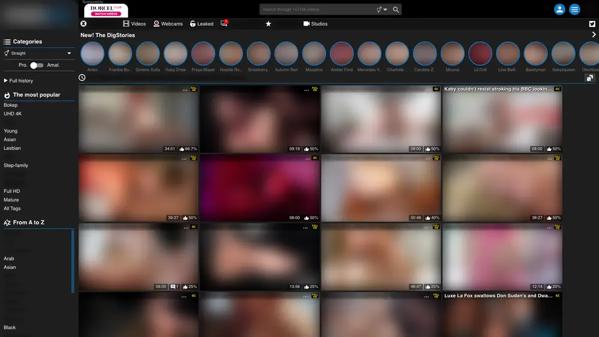 Porndig Downloader