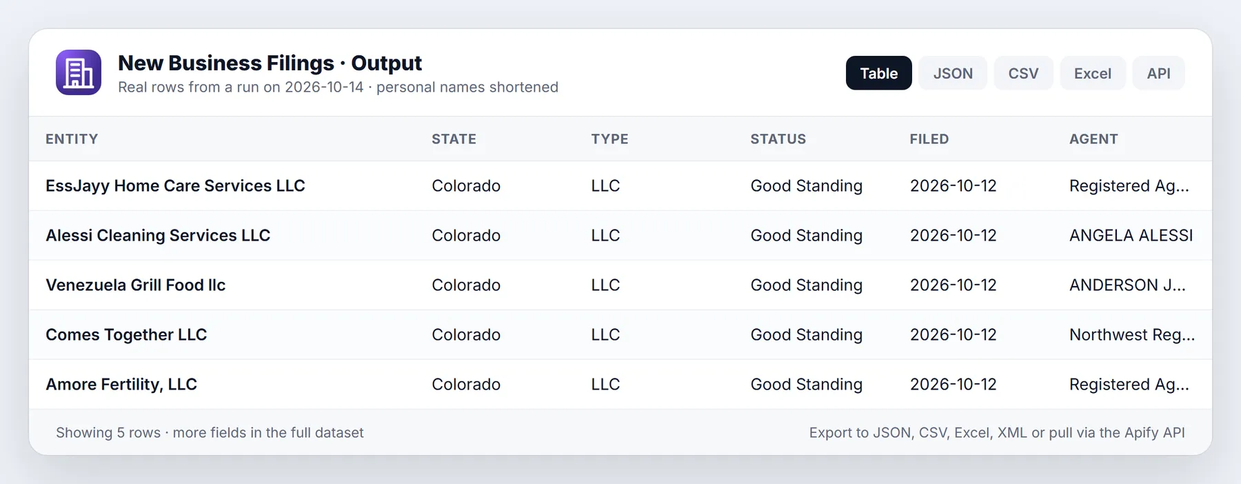 New Business Filings sample output table from a real run