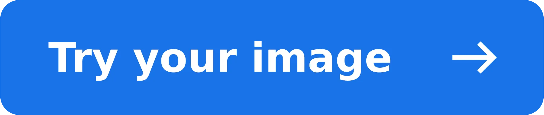 Try your image