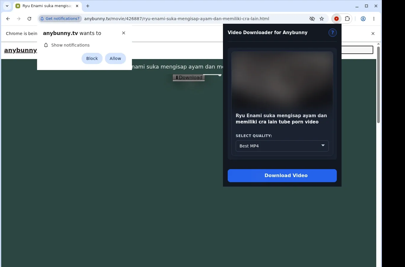 AnyBunny Downloader