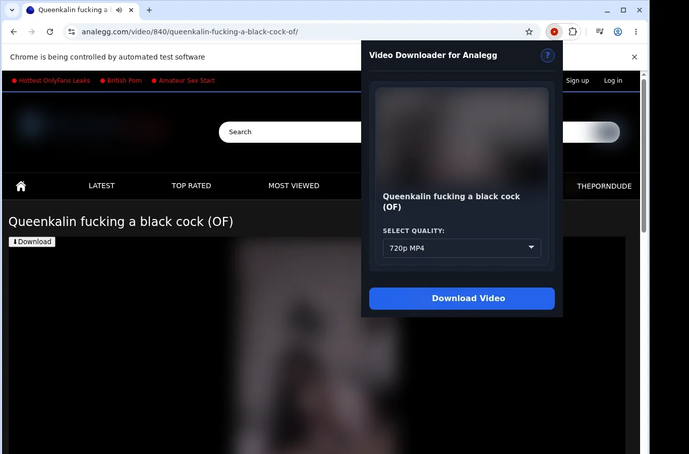 Analegg Video Downloader