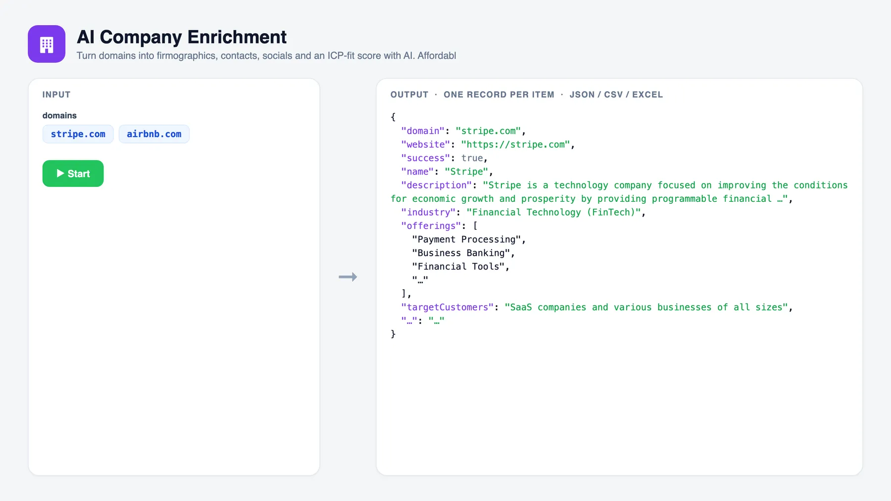 AI Company Enrichment — input and sample output