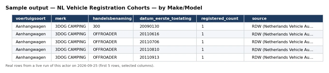 Sample output — NL Vehicle Registration Cohorts — by Make/Model