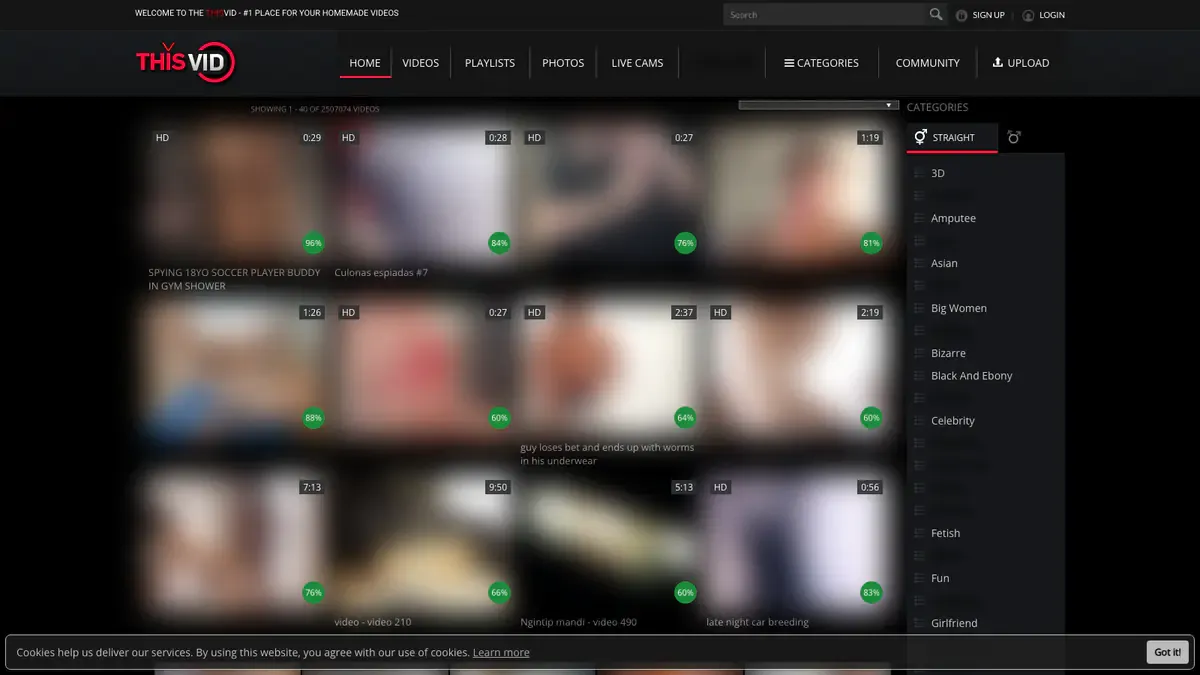 Thisvid Downloader