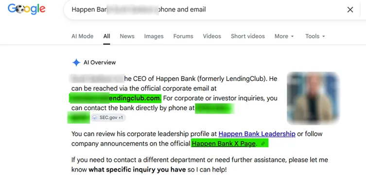 AI Overview example - email, phone, and link highlighted