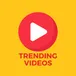 Youtube Trending Video Scrapper avatar