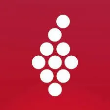 Vivino (Bulk) avatar