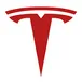 Tesla avatar