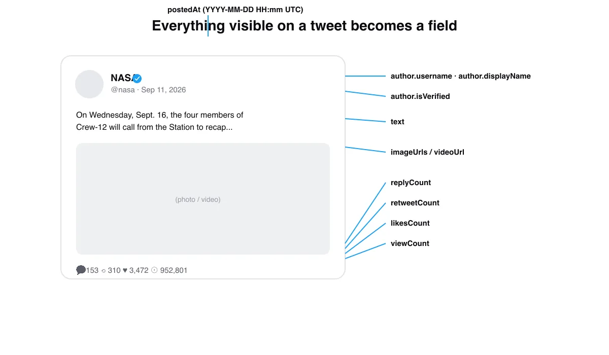 Everything visible on a tweet becomes a dataset field