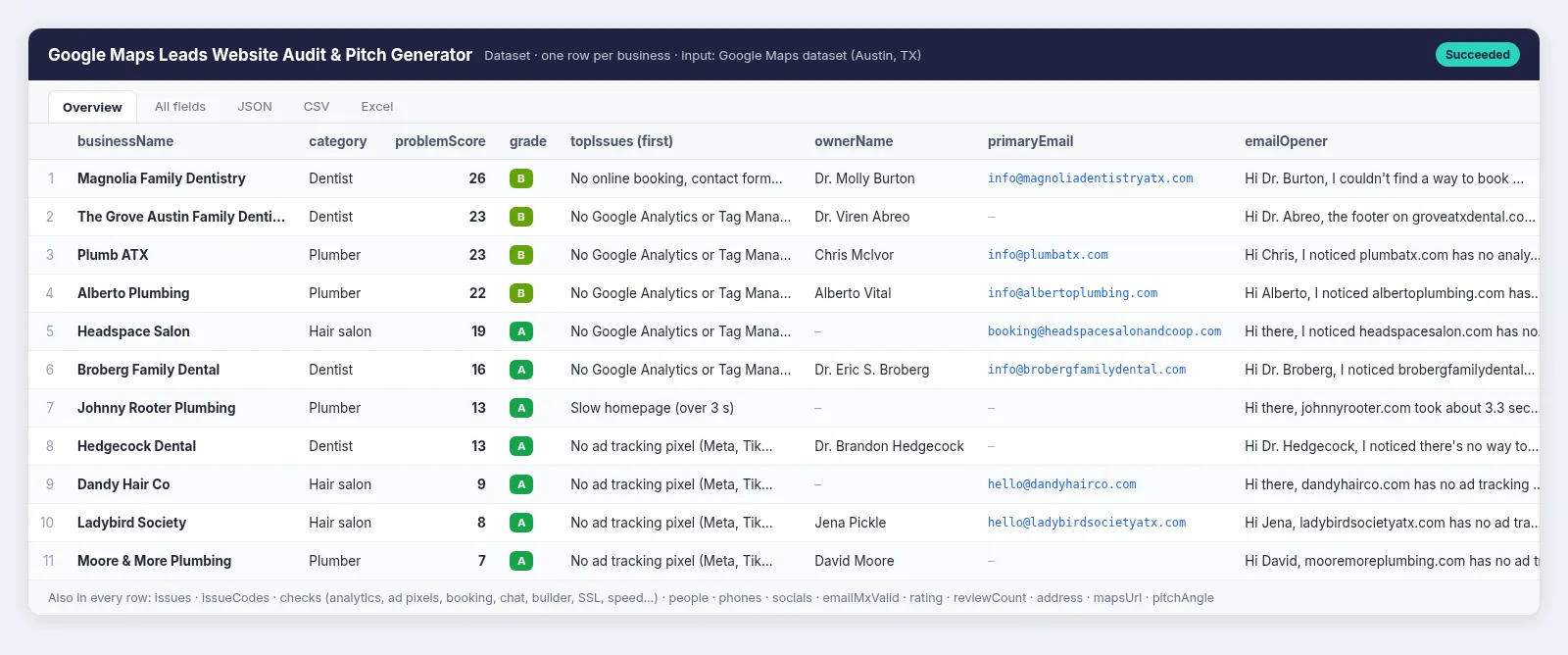 Results: one row per business with problemScore, grade, top issue, owner name, email and a personalised cold email opener