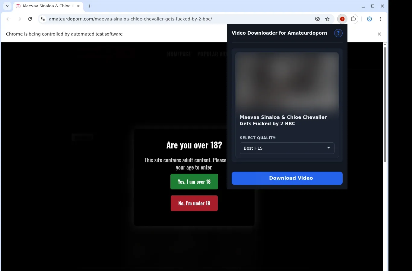 Amateurdoporn Video Downloader