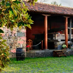 Bodegas (Tenerife) - Casa del Vino 🍇 avatar