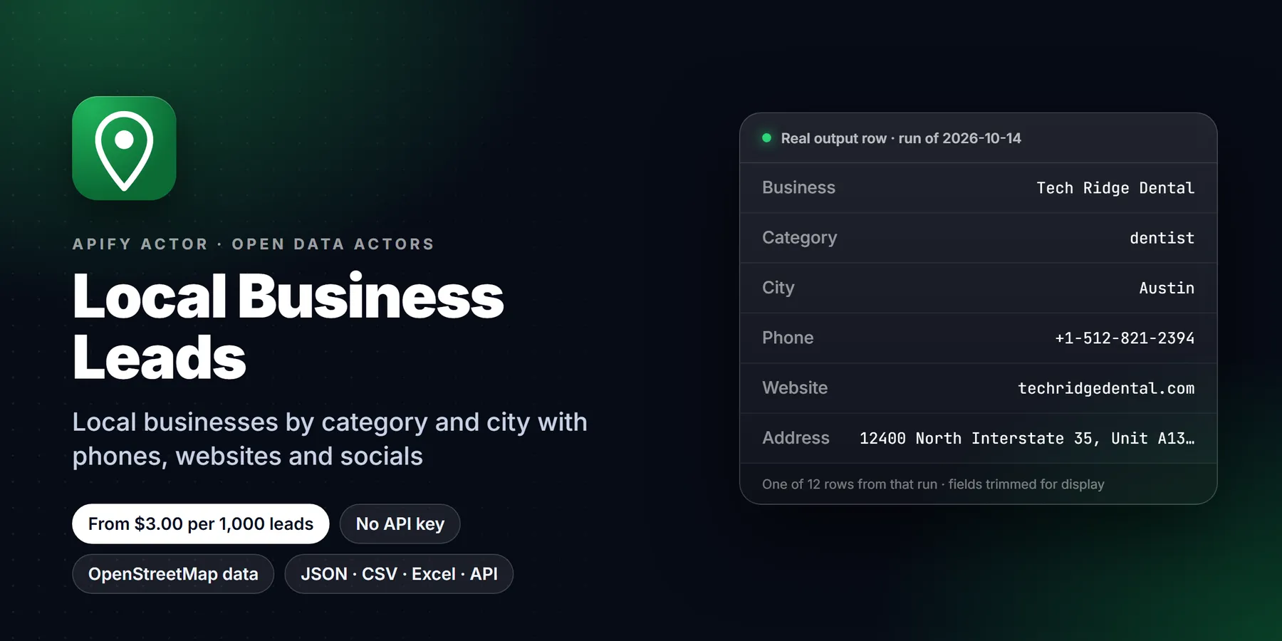 Local Business Leads: features, price and a real output row