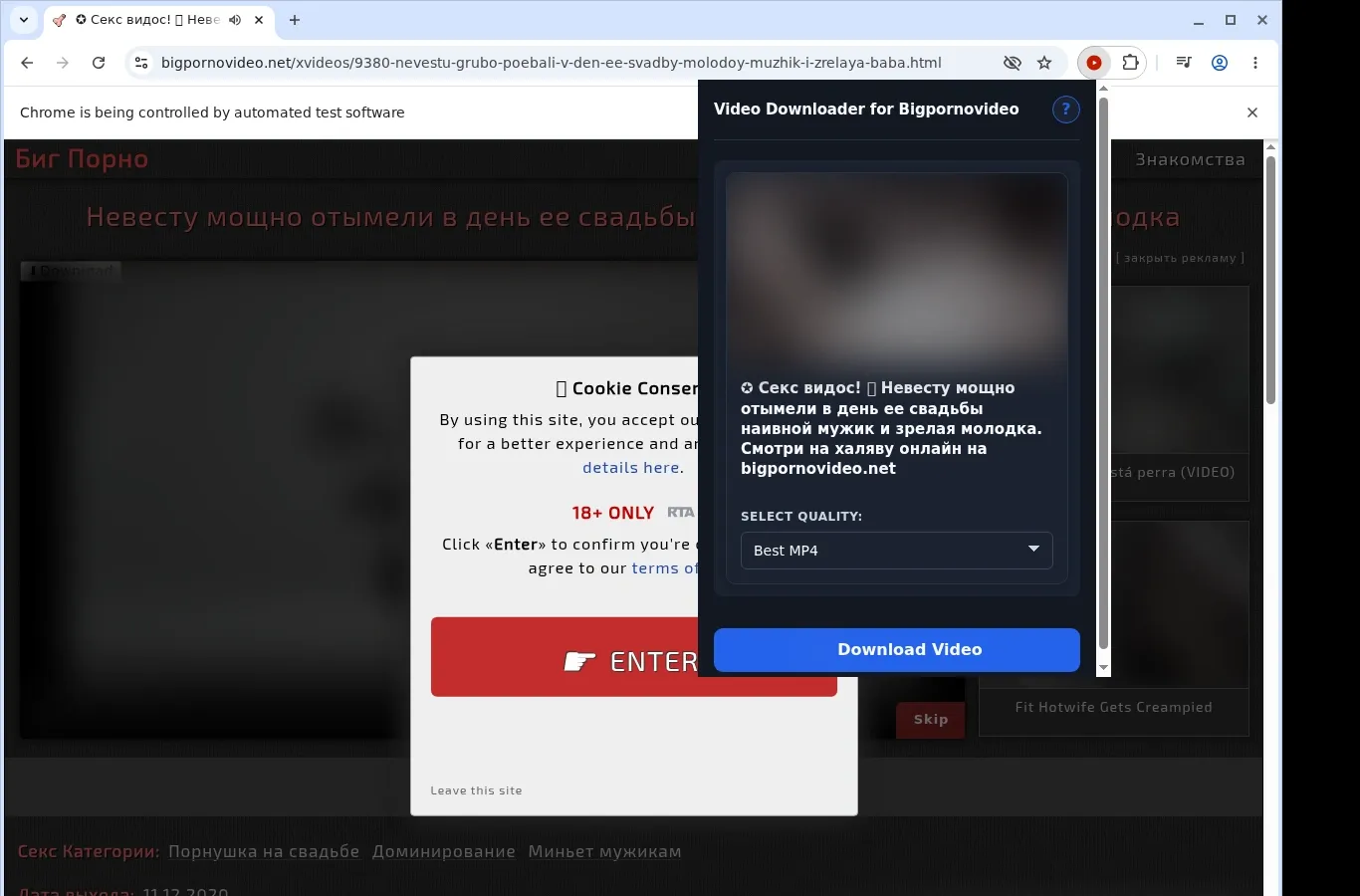 BigPornovideo Downloader
