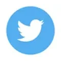 Twitter Timeline avatar