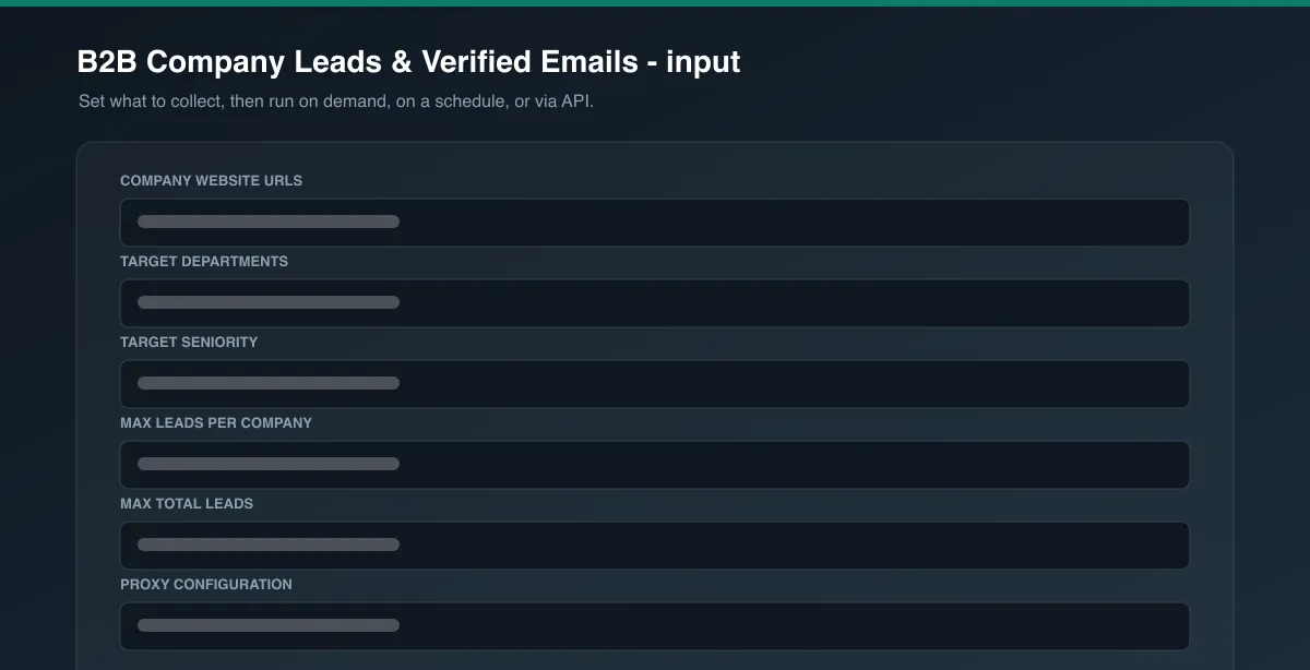 B2B Company Leads & Verified Emails input options