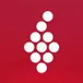 Vivino (Bulk) avatar