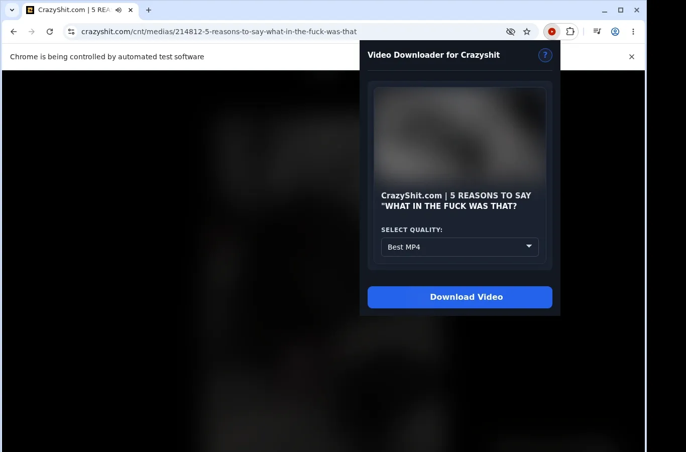 CrazyShit Video Downloader