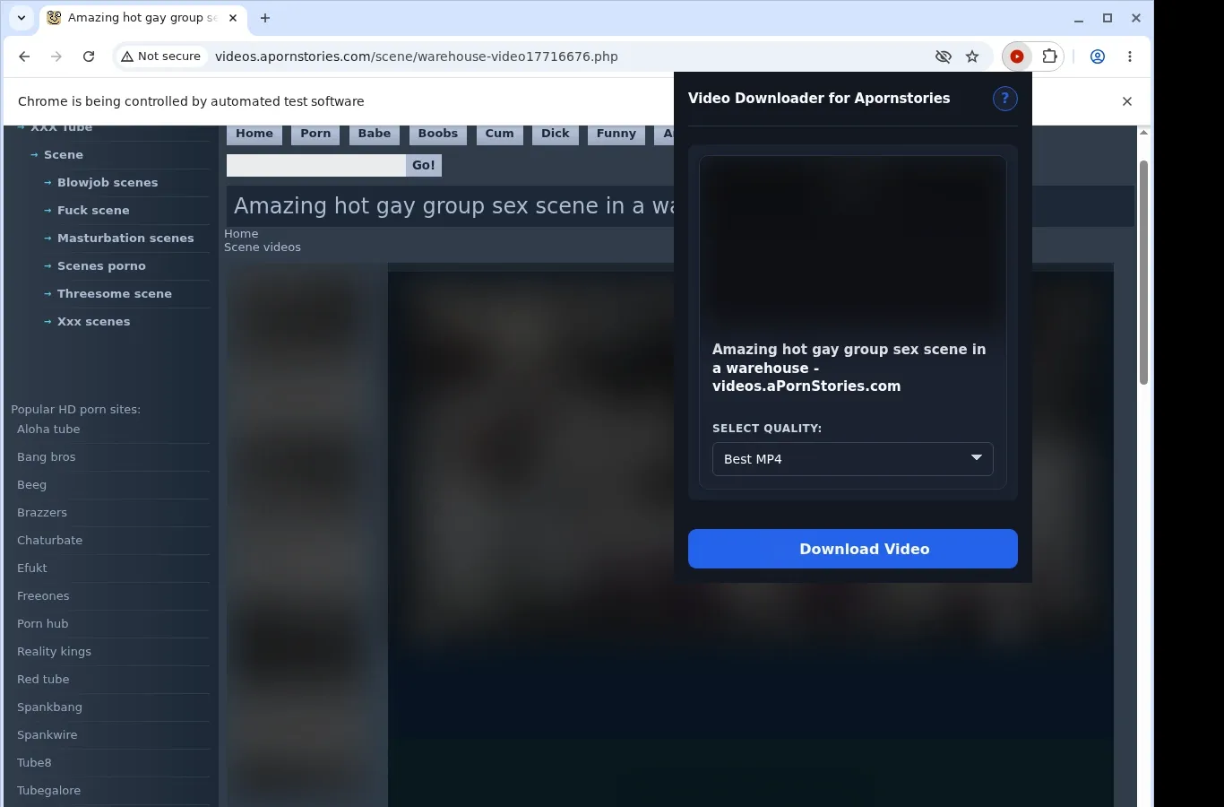 Apornstories Downloader