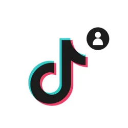 TikTok Followers API avatar