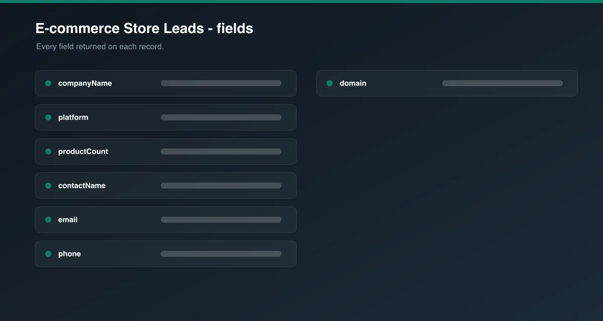 E-commerce Store Leads data fields