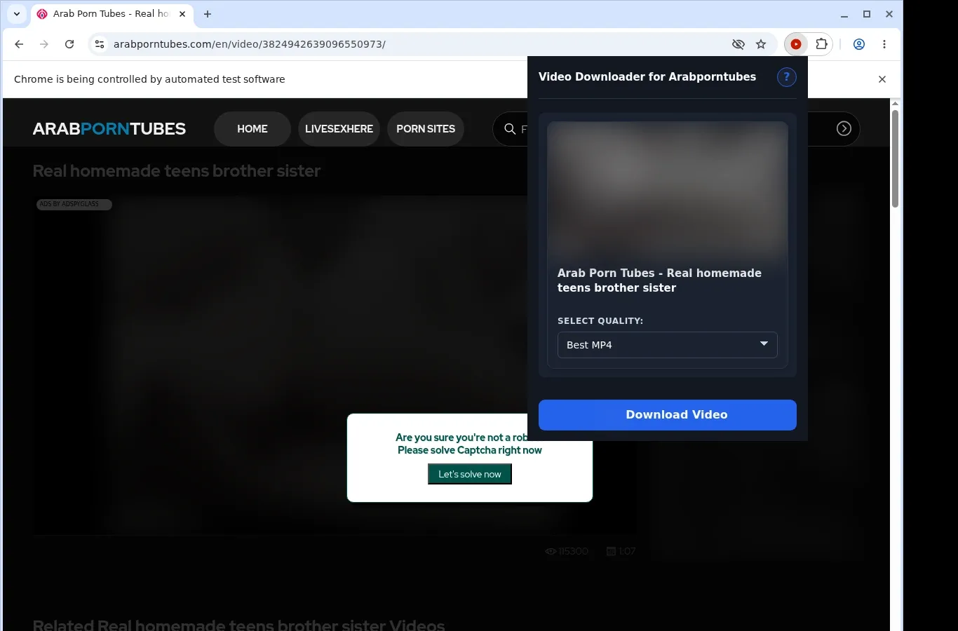 Arabporntubes Video Downloader