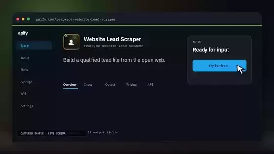 Website Lead Scraper input and result demonstration